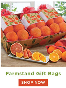 Farmstand Gift Bags